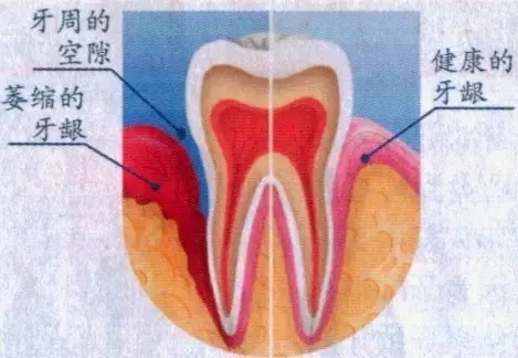 3.webp.jpg