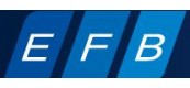 德國(guó)EFB ELEKTRONIK