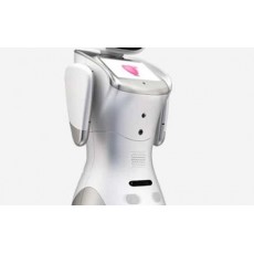 MS-ELECTRONICS三寶服務(wù)機器人
