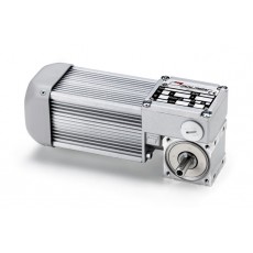 mini motor 無(wú)端螺旋齒輪馬達(dá)