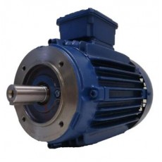 watt drive 低壓電機(jī)W20 0.25 kW系列