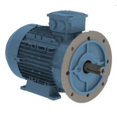 watt drive 低壓電機(jī)W20 0.25 kW系列