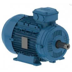 watt drive 鋁 TEFC電機(jī)W21系列