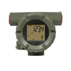 yokogawa質(zhì)量流量計(jì)LR科里奧利