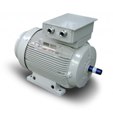 FIMET ATEX 粉塵和氣體電機系列