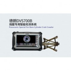 DELLON 炮膛專用智能檢測(cè)系統(tǒng)DVS700B系列