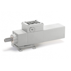 MINI MOTOR 帶行星減速機(jī)的同軸齒輪電機(jī)F系列