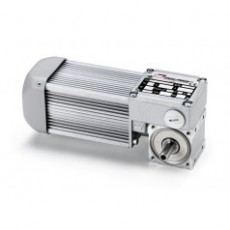 MINI MOTOR 無端螺旋齒輪馬達(dá)系列