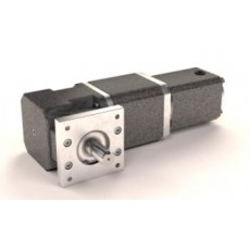 GROSCHOPP 無(wú)刷直流齒輪電機(jī)61575系列