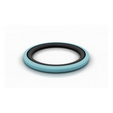 TRELLEBORG 雙作用密封件Glyd Ring D系列