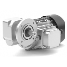 RGM 減速電機(jī)SN5FR-i15-45W系列