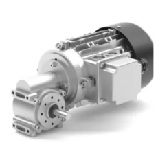 RGM 減速電機(jī)SN18-i24-45W系列